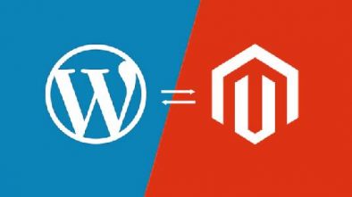 Logo of Wordpress and Magento in Blue and Red Background